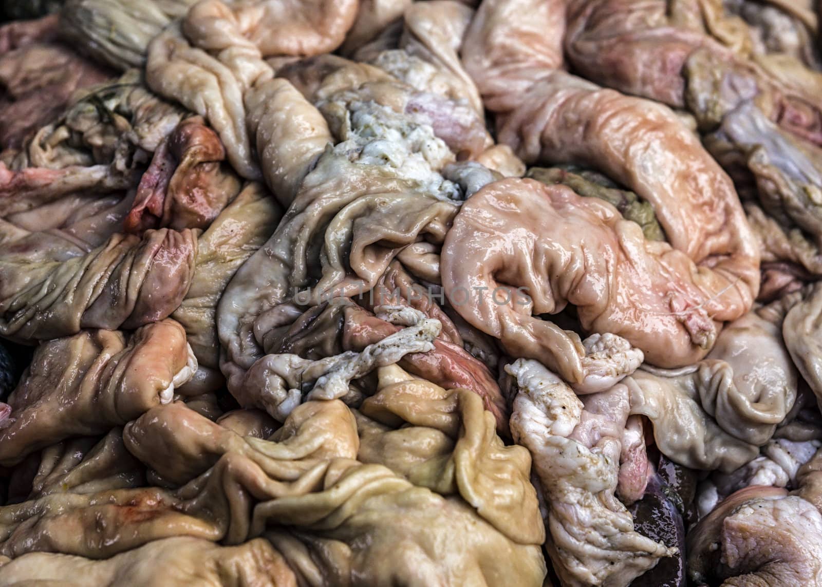Disgusting scene of animal intestines. by Claudine