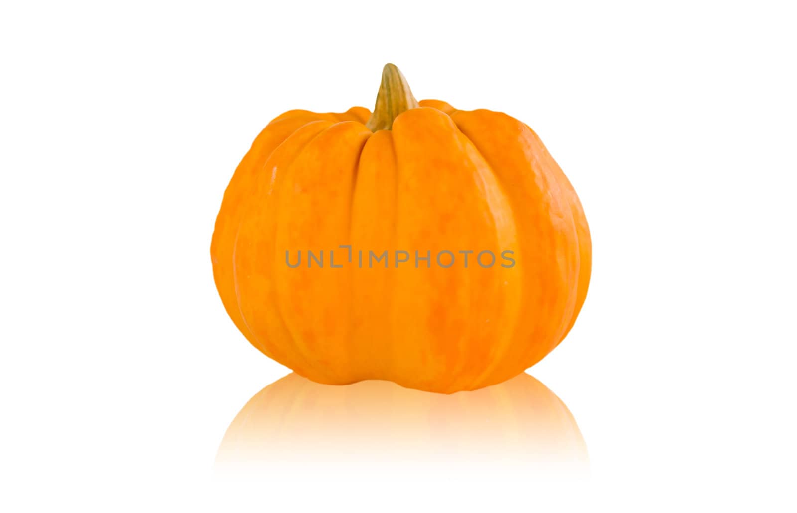 pumpkins on white background with reflection