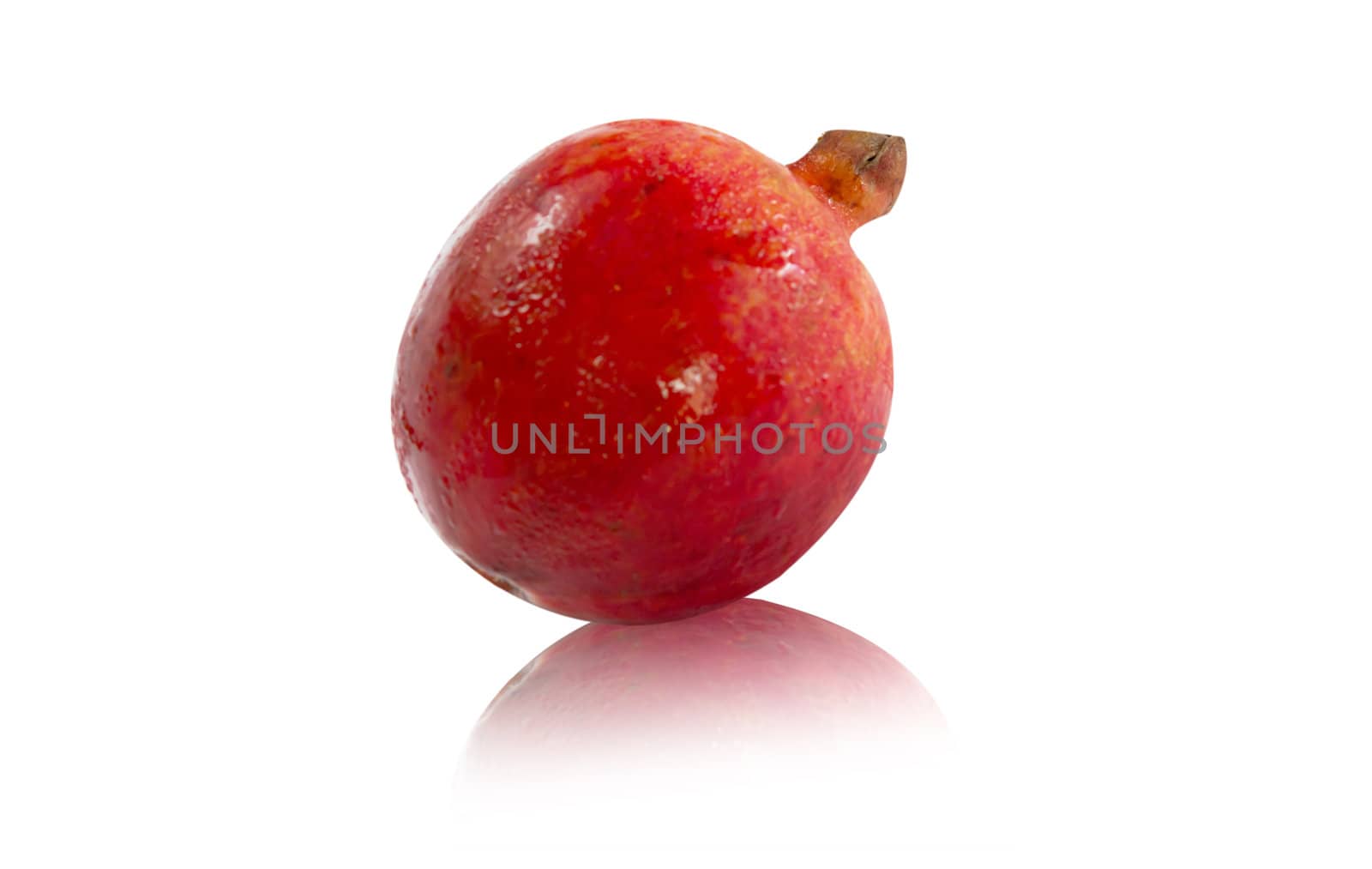 Pomegranate on white background with reflection