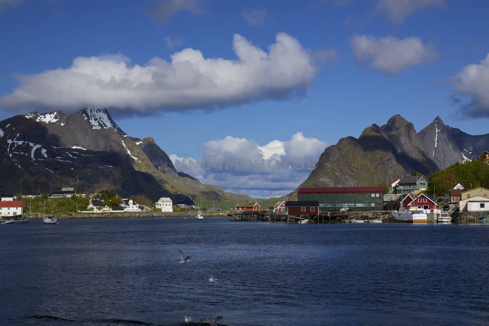 Fishing port in town of Reine on Lofoten islands in Norway