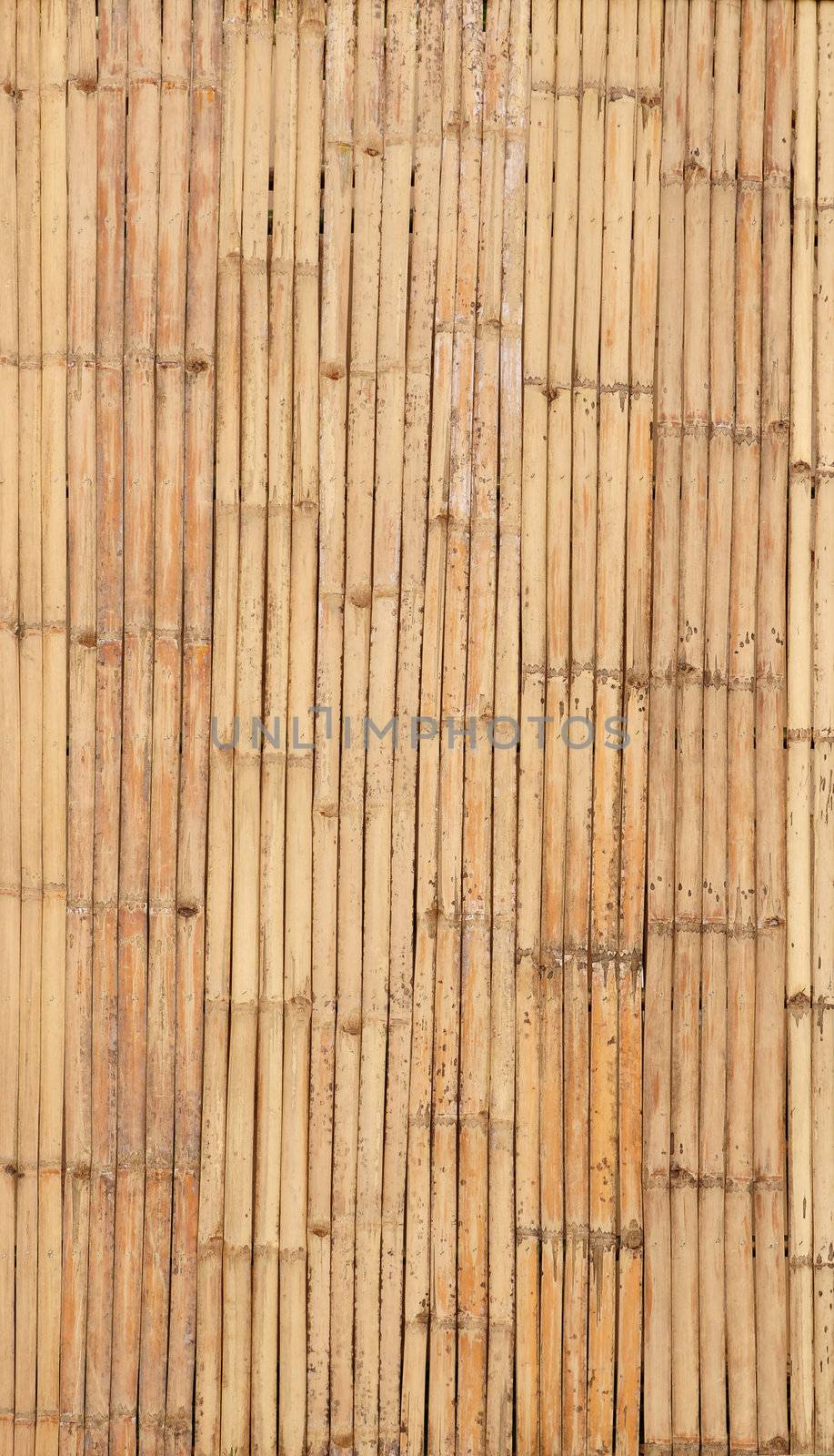 Bamboo background by antpkr