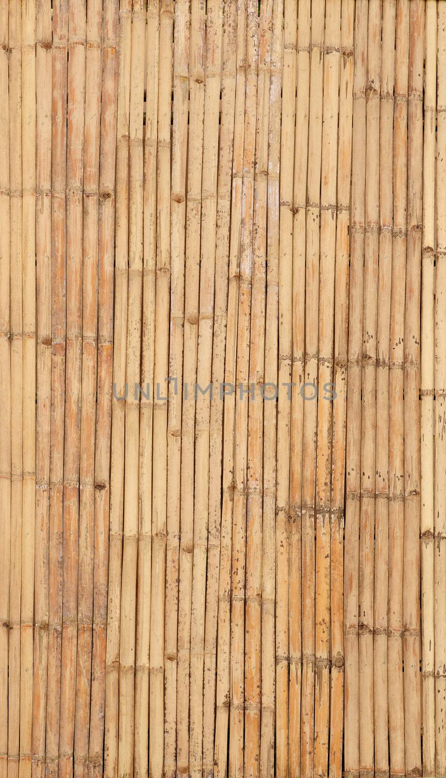 Bamboo background