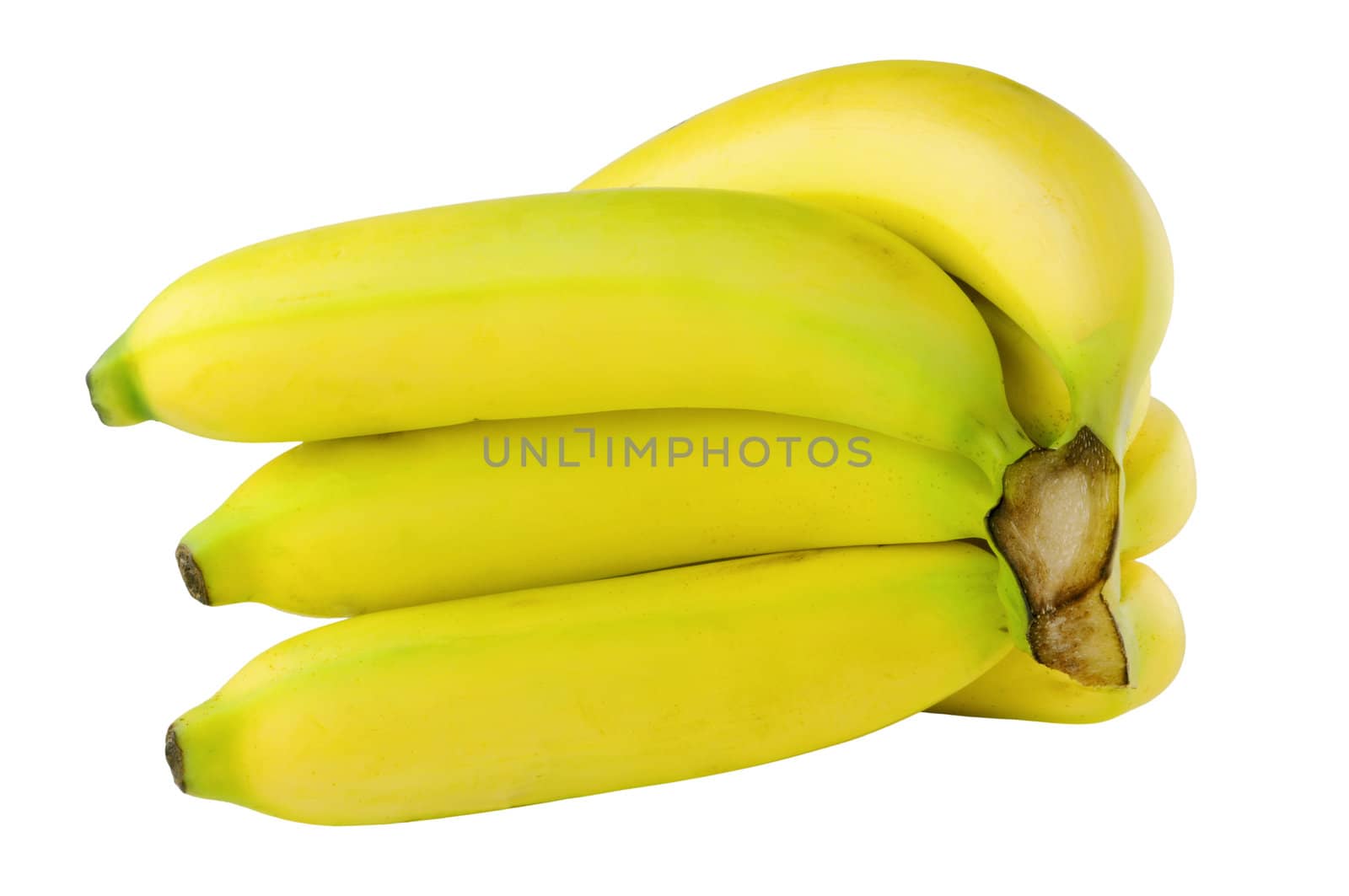Banana Bunch by antpkr