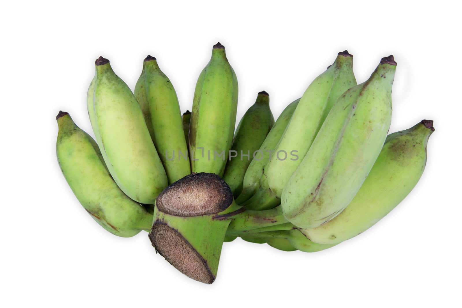 banana by antpkr