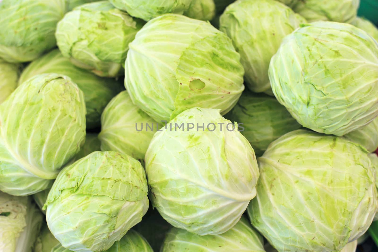 Cabbage in Market