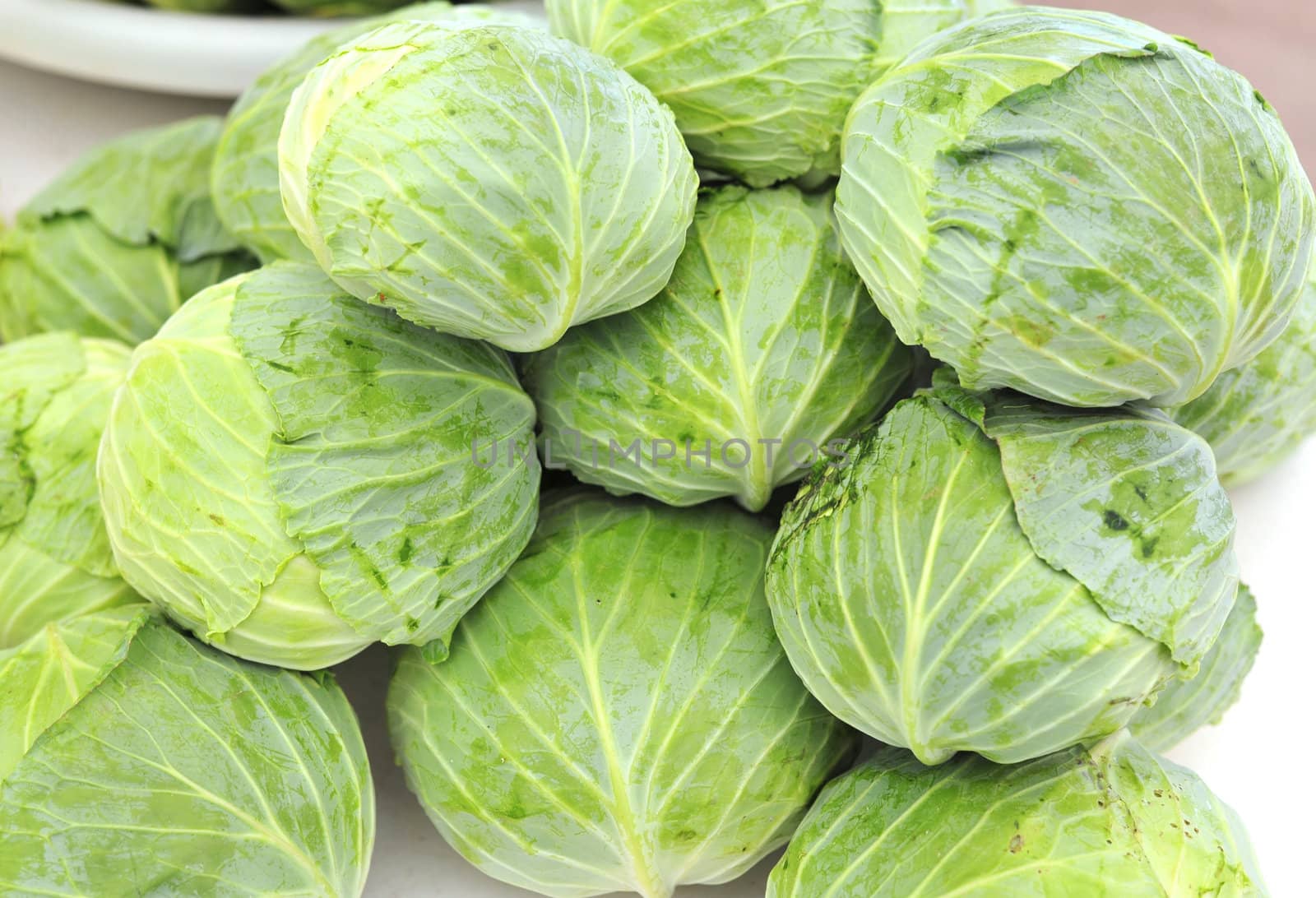 Cabbage in Market