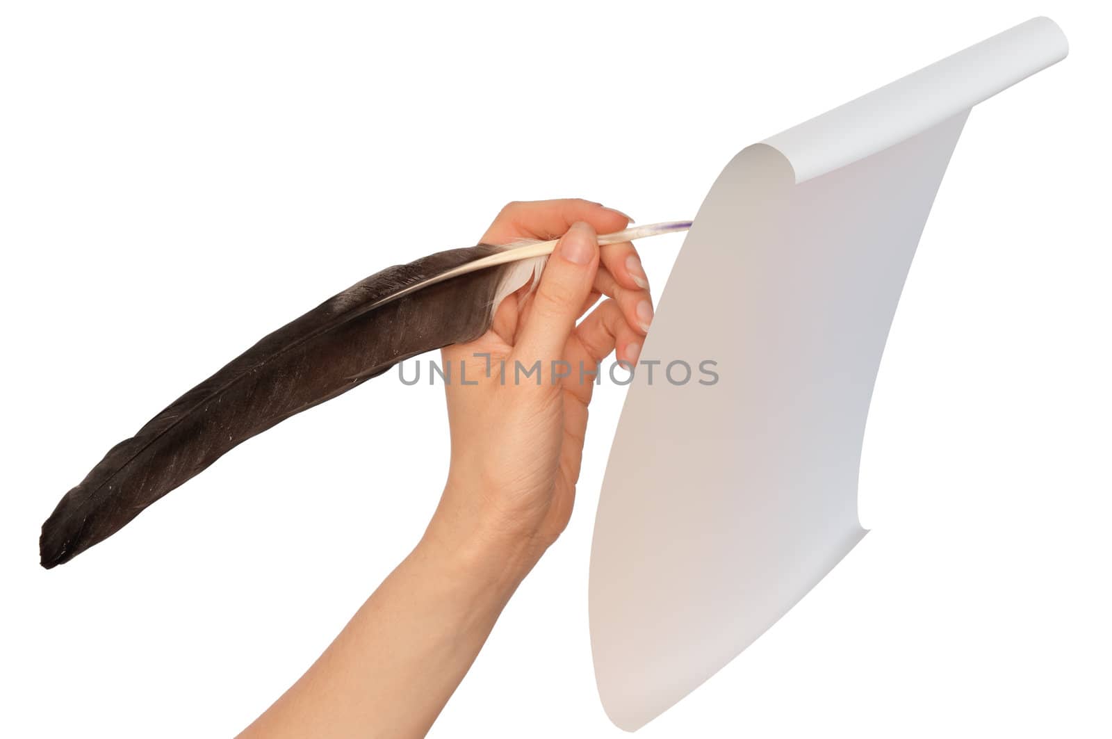 woman writing with a black feather on the paper