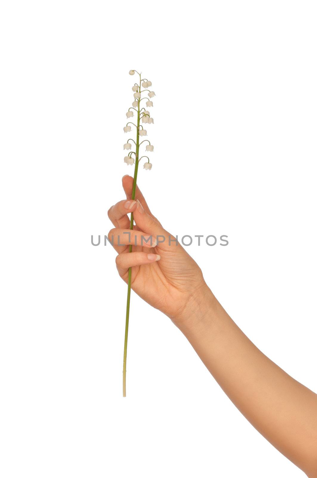 Woman holding lily of the valley in the hand