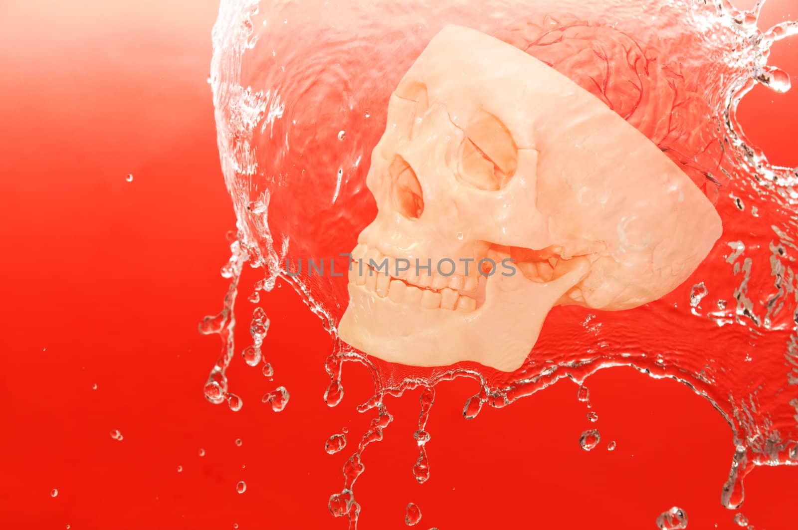 white skull in the water on red background