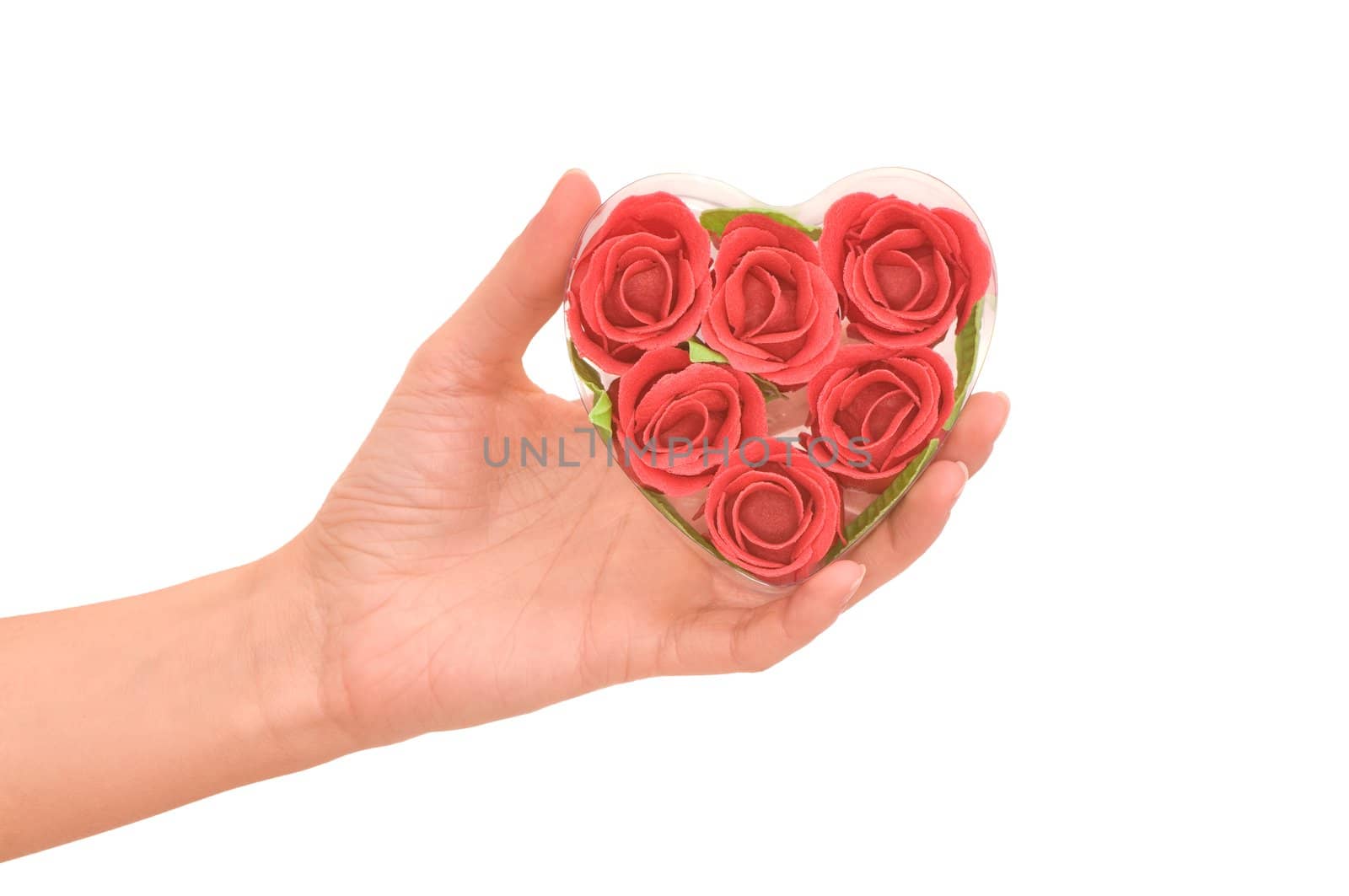 Woman holding red roses in her hand