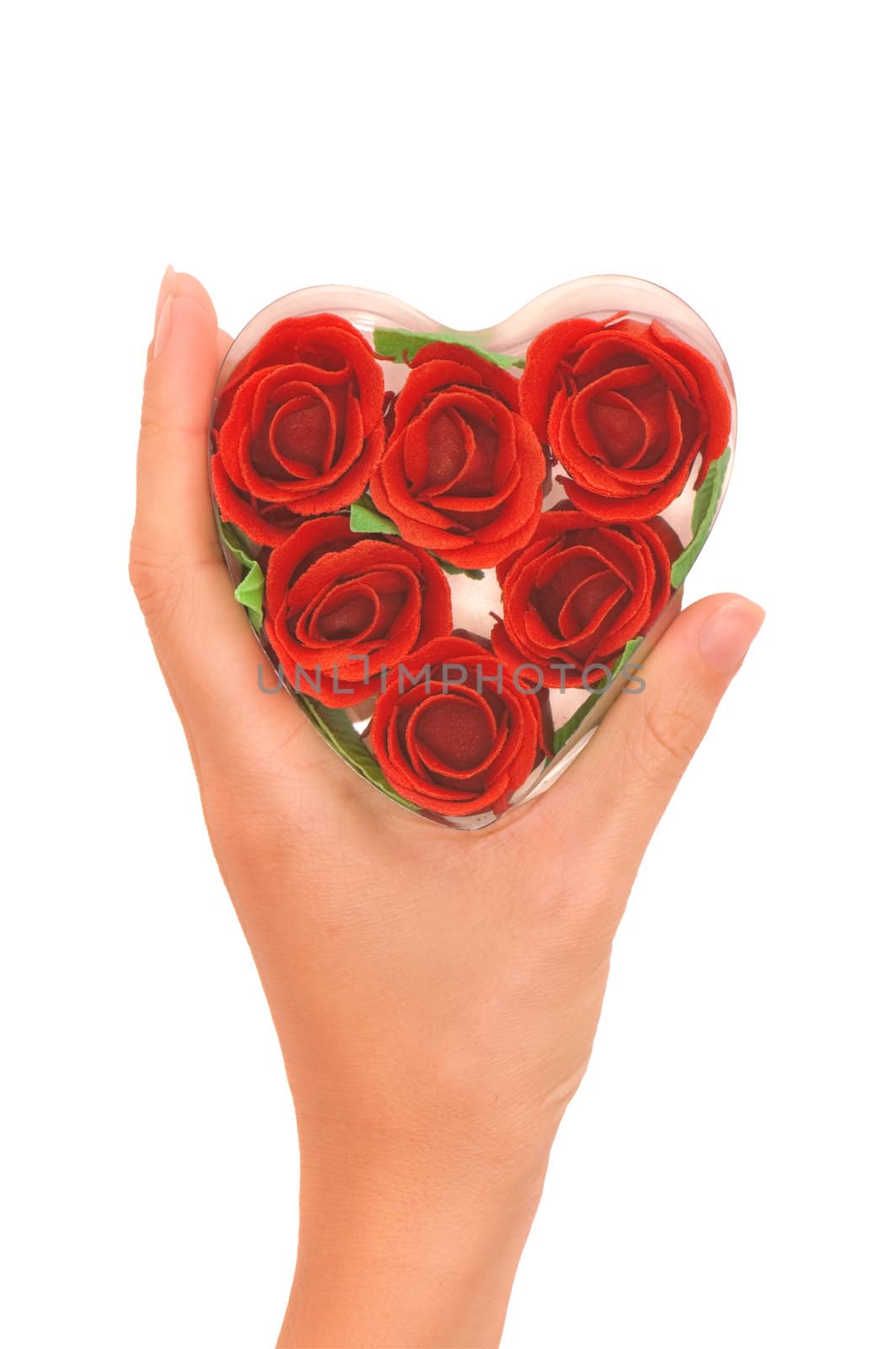 Woman holding red roses in her hand