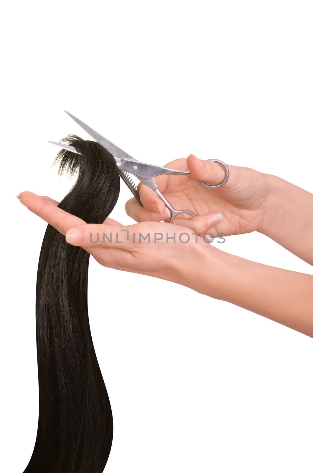 hairdresser cutting young woman with long black hair