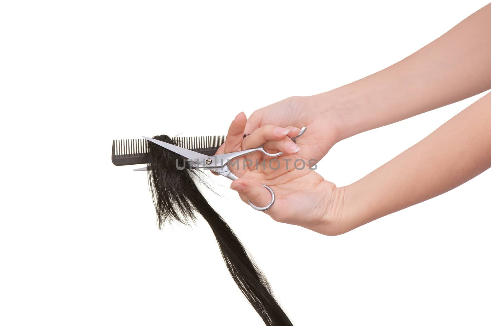 hairdresser cutting young woman with long black hair