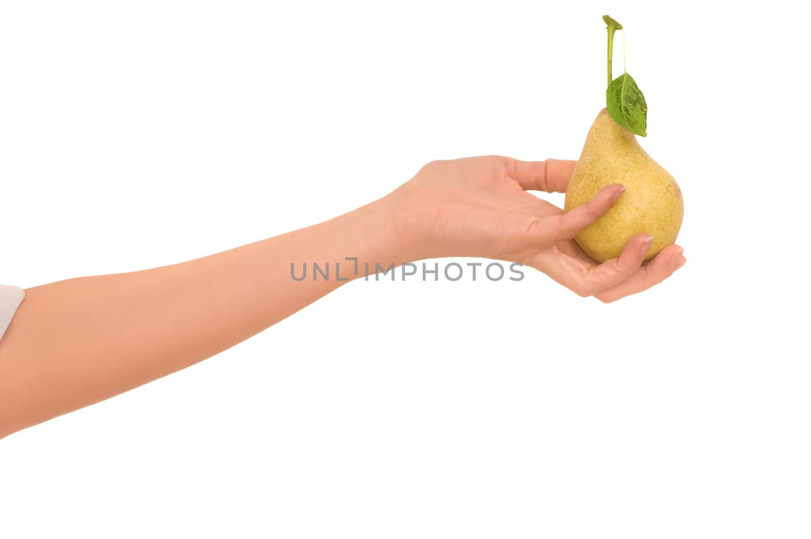 Yellow pear with a green leaf in hand