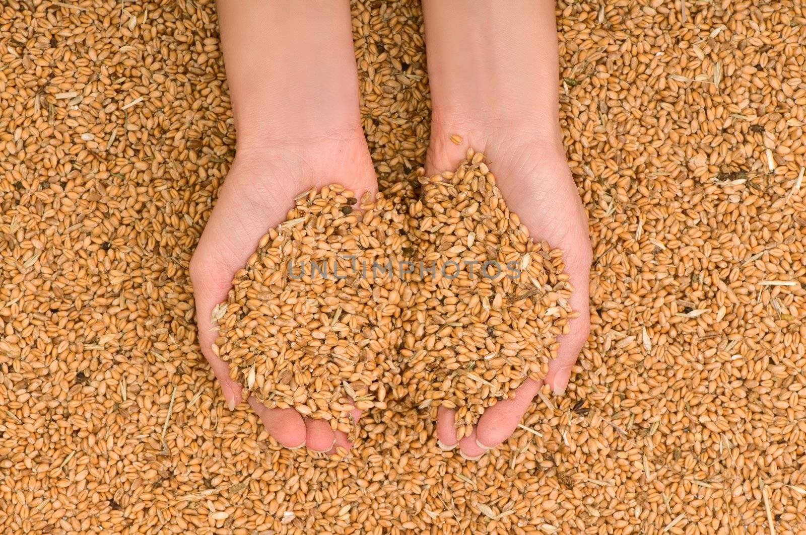 handful of grains in the woman's hands