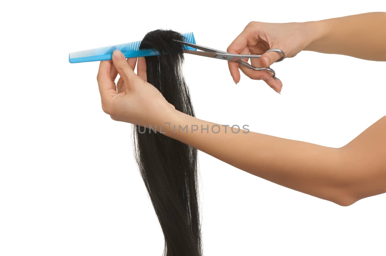 hairdresser cutting young woman with long black hair