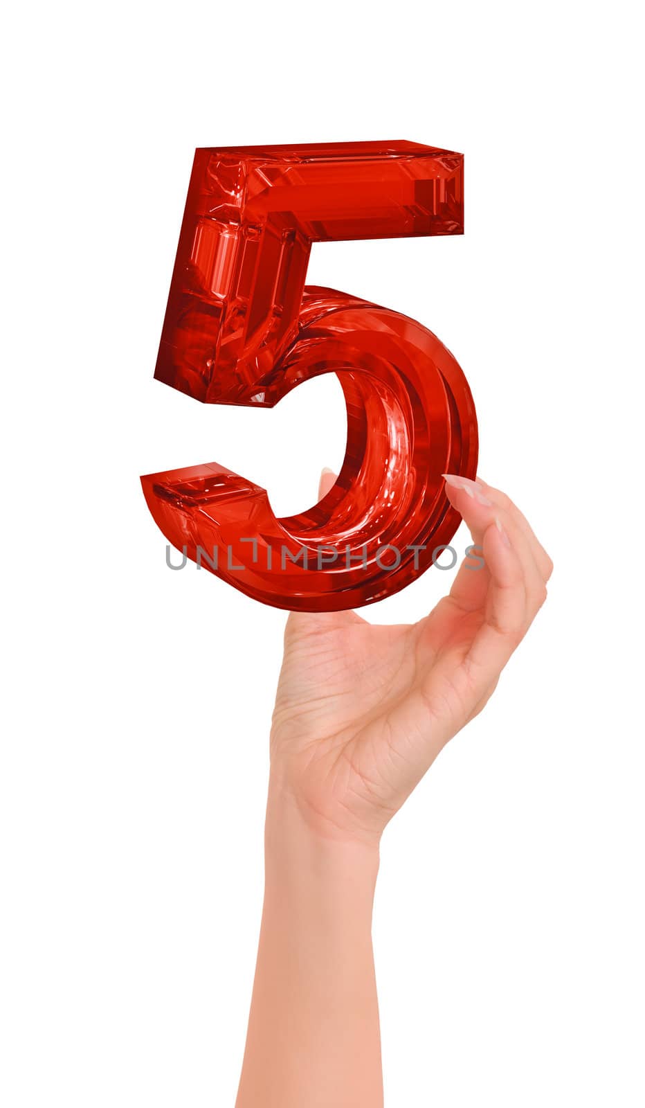 digit five in the hand on white background