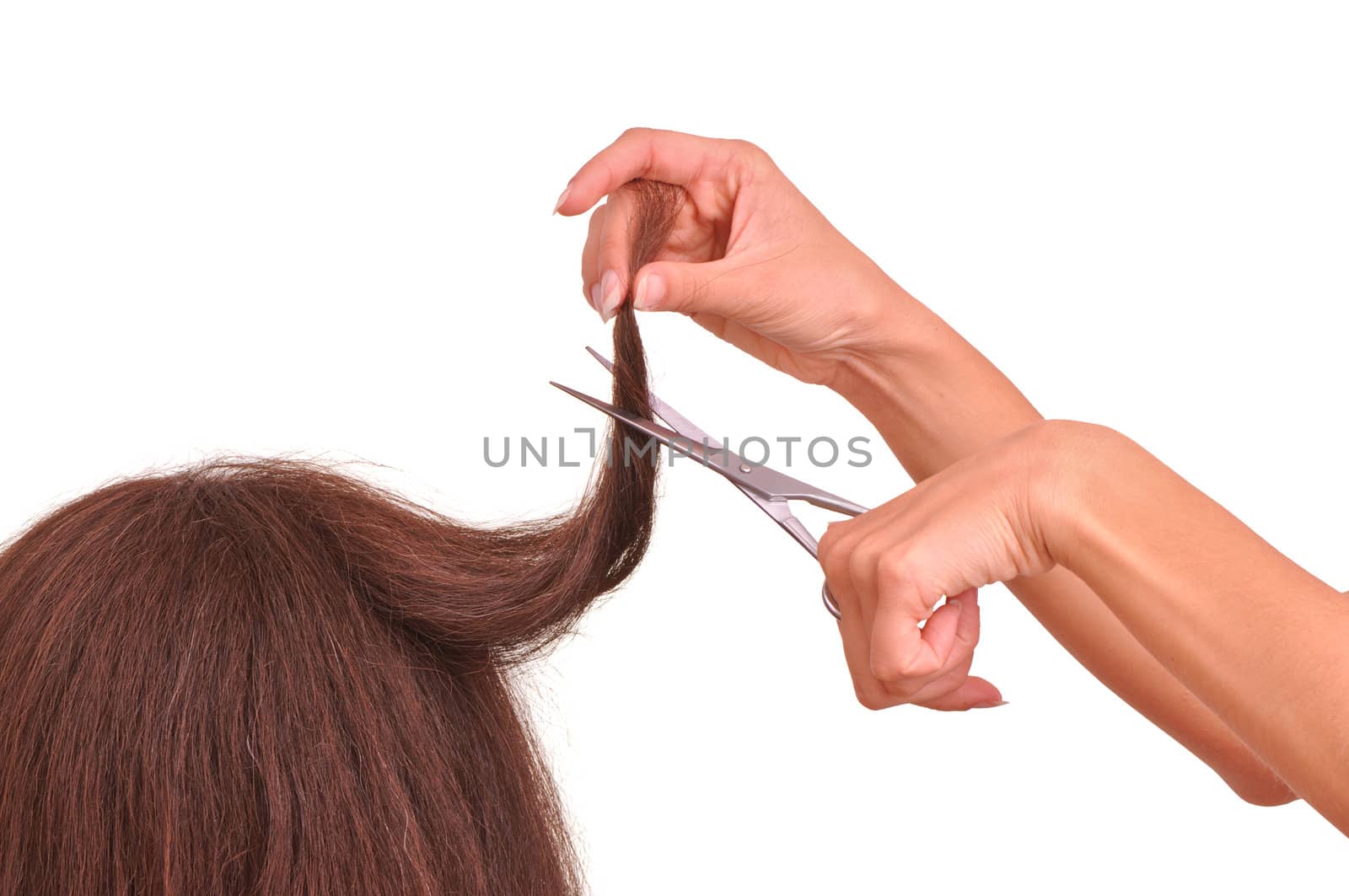 hairdresser cutting young woman with long brown hair