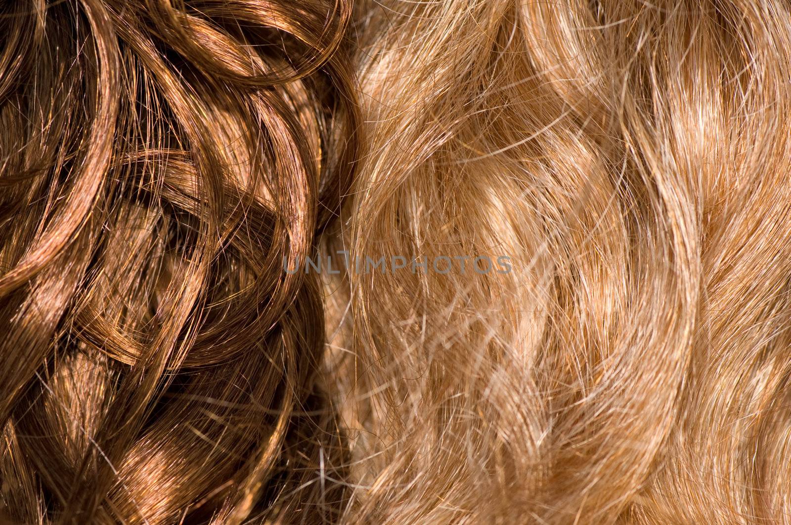 curly wigs for woman as a background