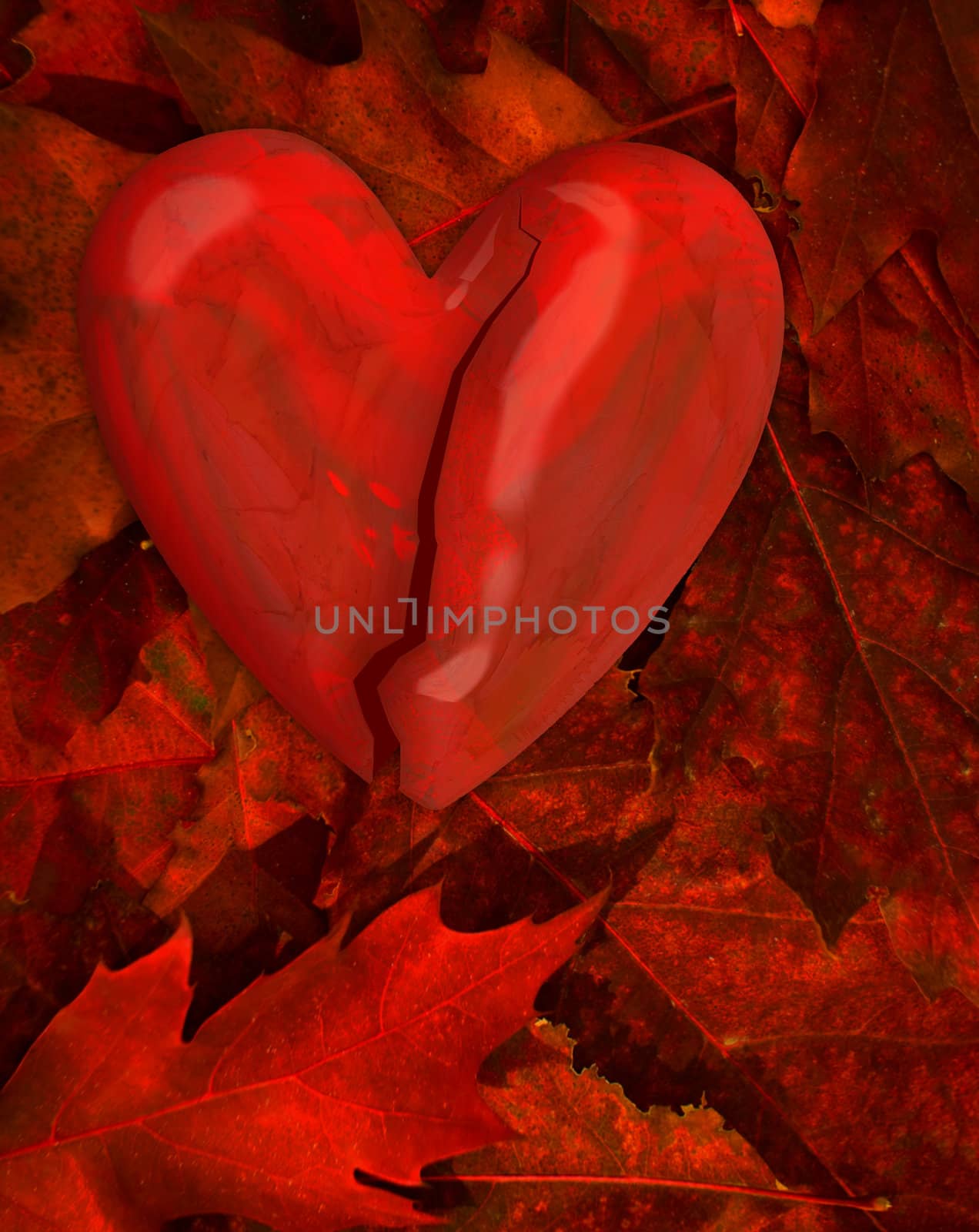 cracked heart in the pile of autumn leaves