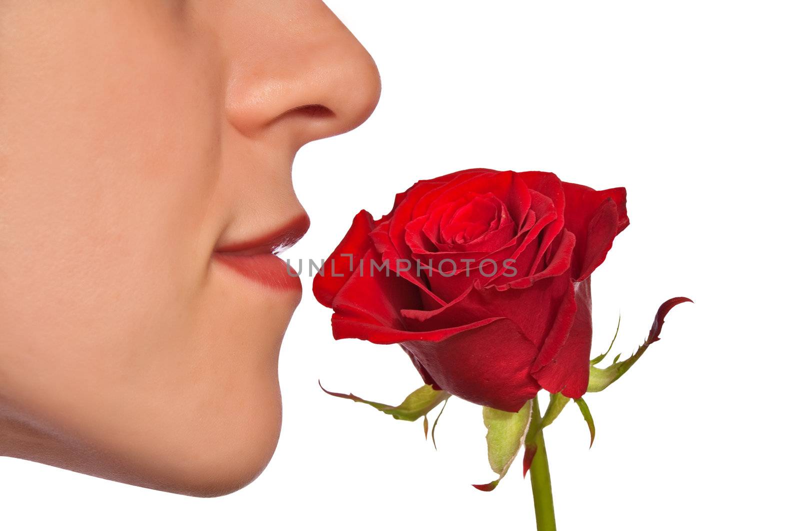 Young woman smelling red rose on white background