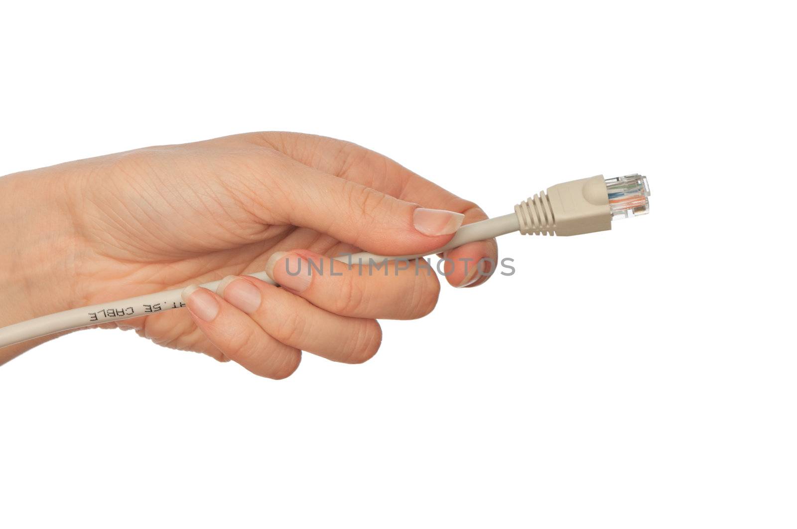 woman holding grey LAN cord in the hand