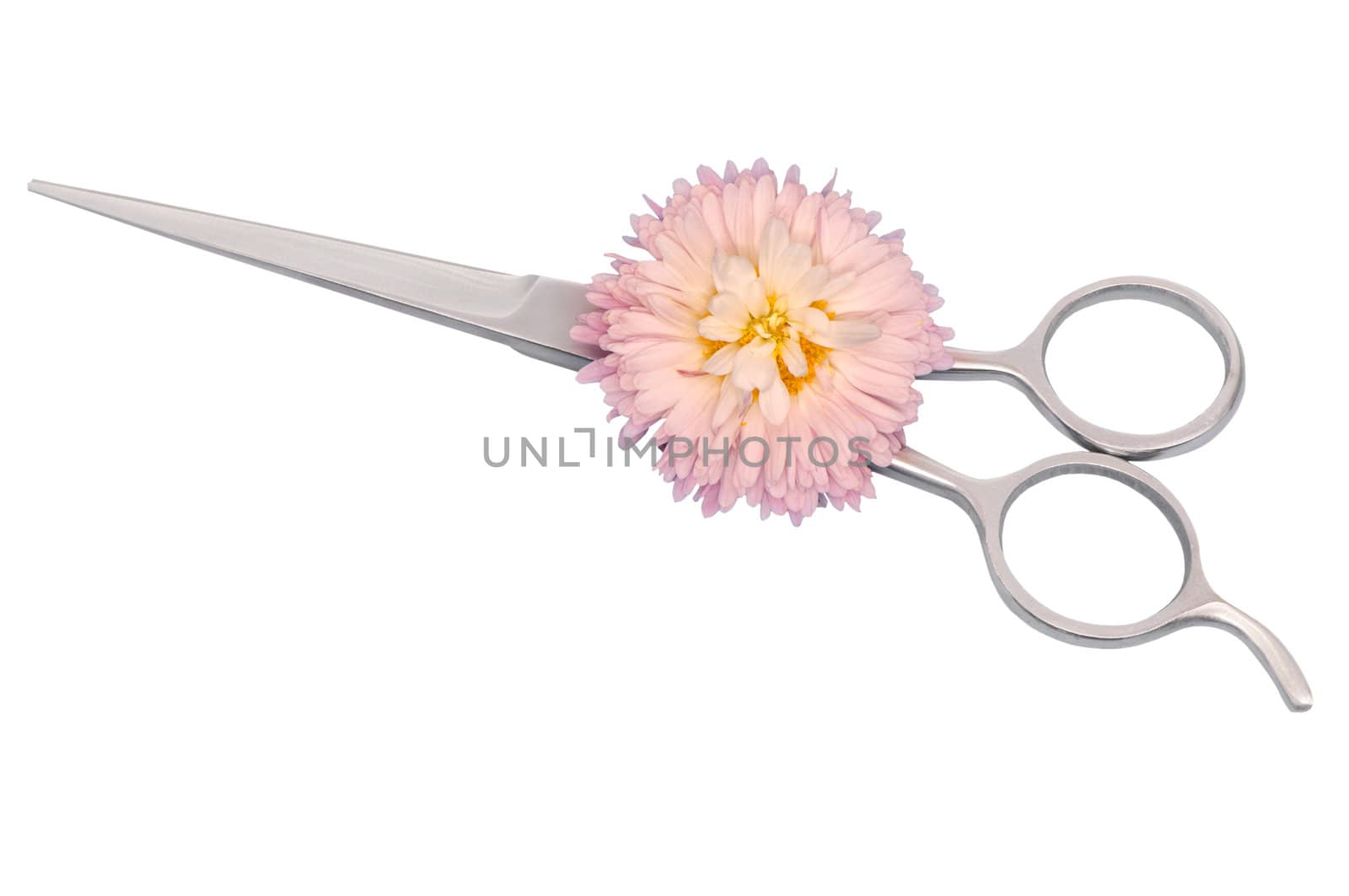 Closed scissors for haircut with flower on white background