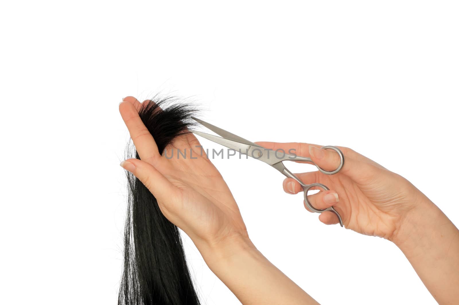 hairdresser cutting young woman with long black hair