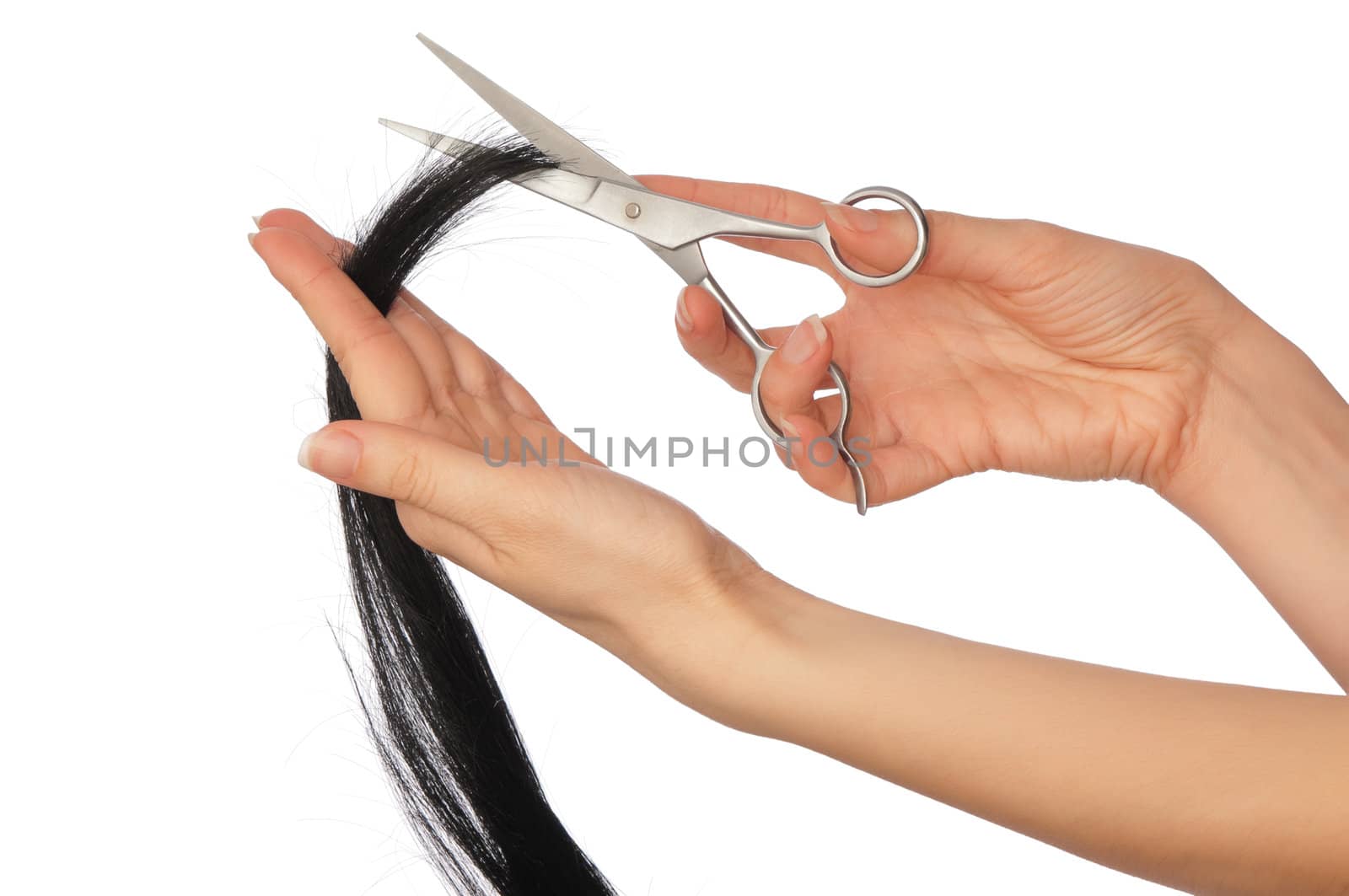 hairdresser cutting young woman with long black hair