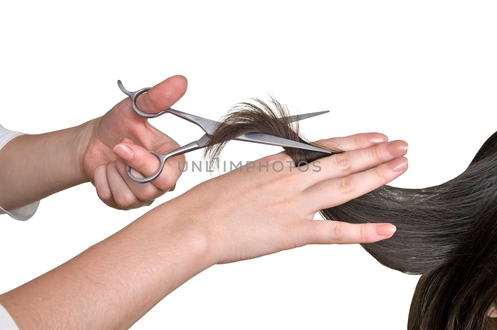 hairdresser cutting young woman with long black hair