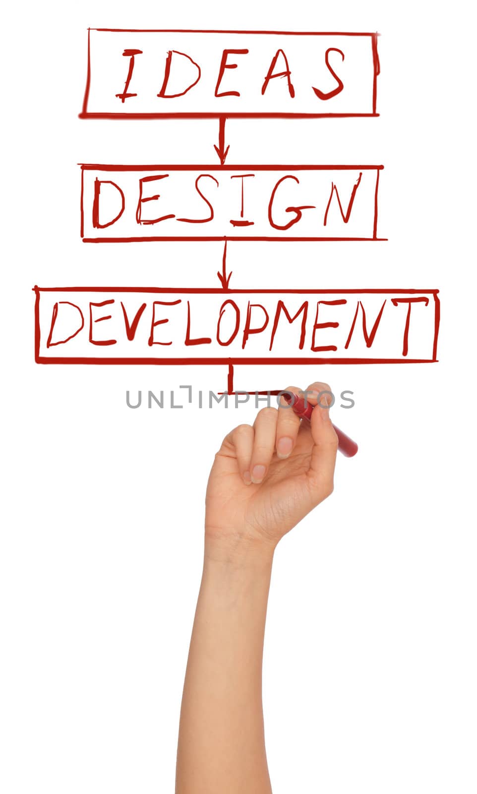 businesswoman drawing diagram with red felt-tip pen at working place