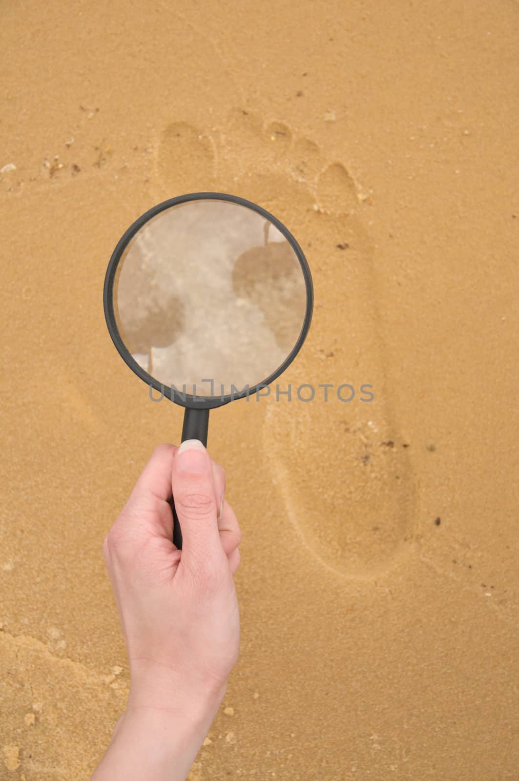 using magnifier for exploration footprint on the yellow sand