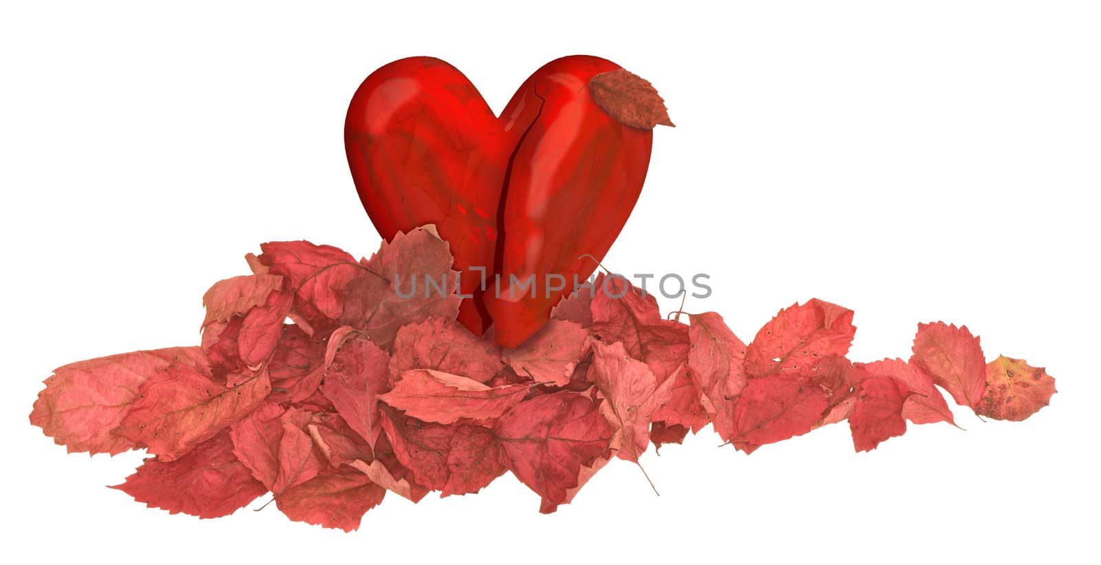 heart in the pile of autumn red leaves on white background