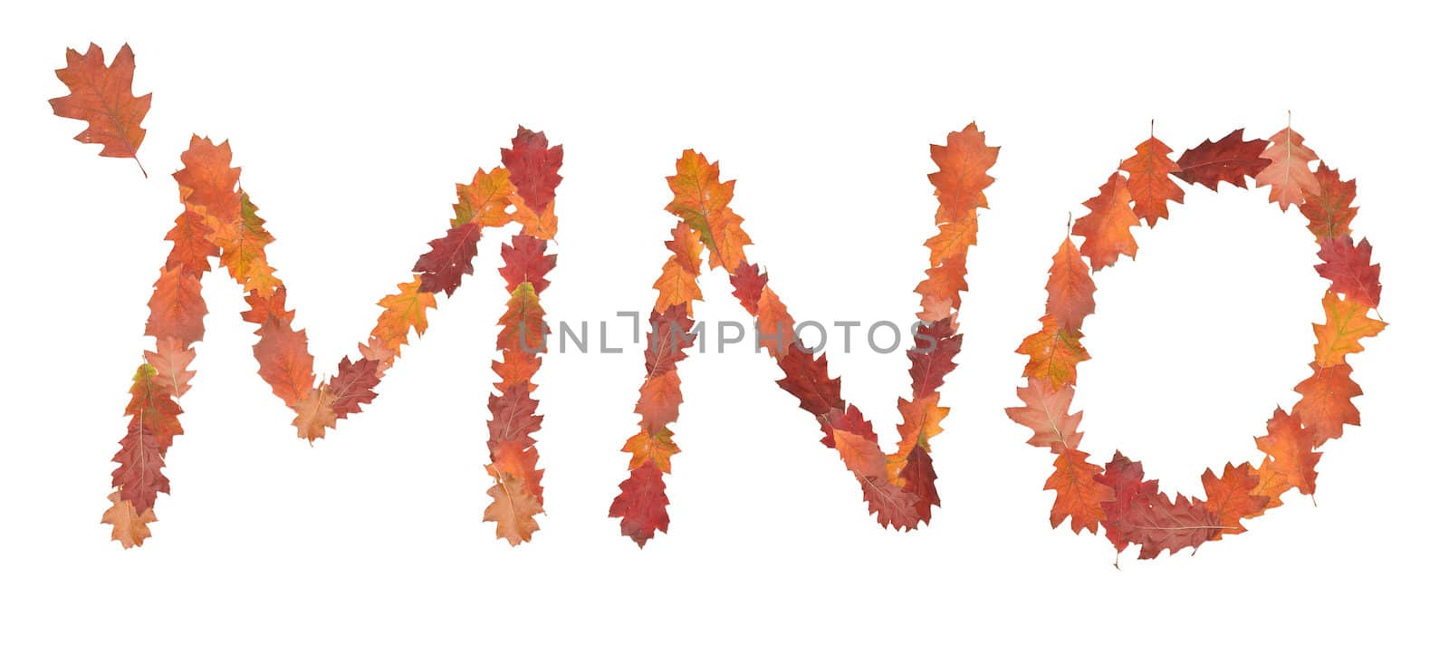 alphabet made of autumn leaves by merzavka