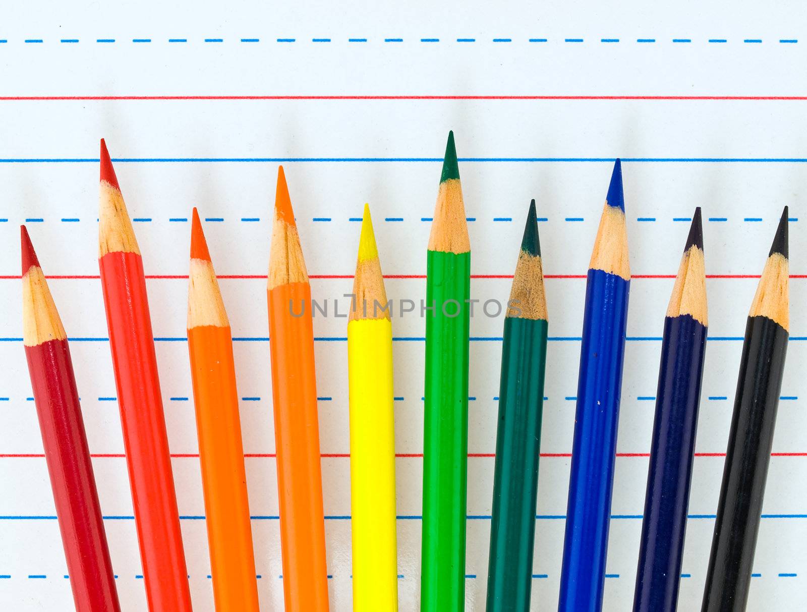 Rainbow of Colored Pencils Isolated on Lined Paper