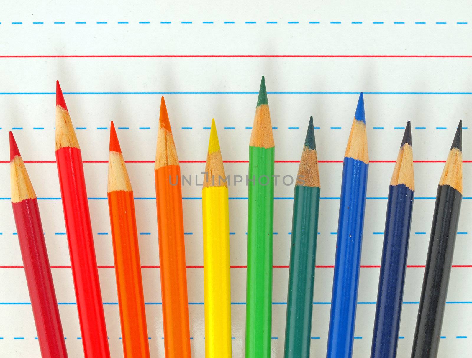 Rainbow of Colored Pencils Isolated on Lined Paper by Frankljunior