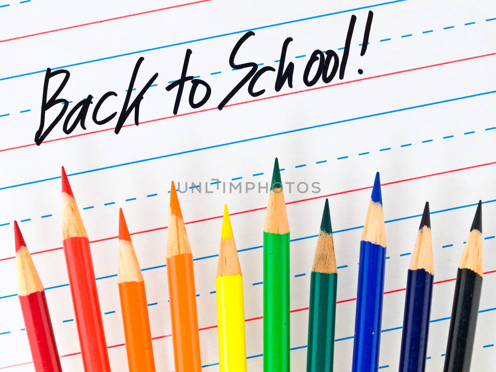 Back to School Written on a Lined Dry Erase Board with Colored Pencils by Frankljunior