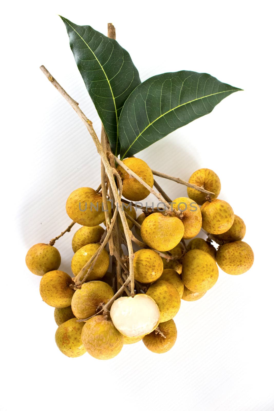 Longan fruit isolated on white background  by kurapy