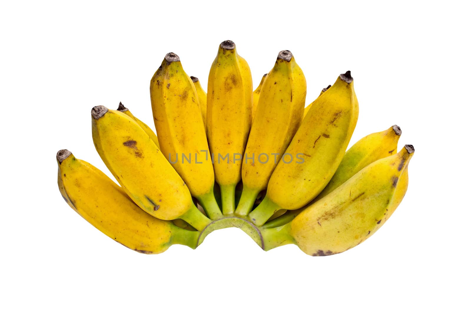 Bunch of bananas isolated on white background + Clipping Path