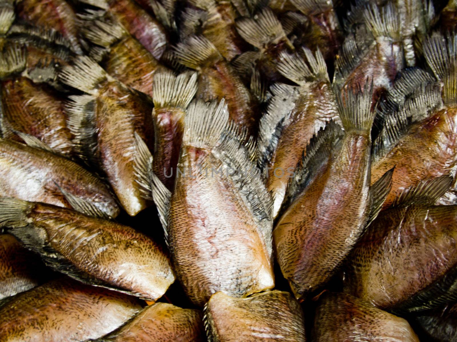 Dried snakeskin fish by gjeerawut
