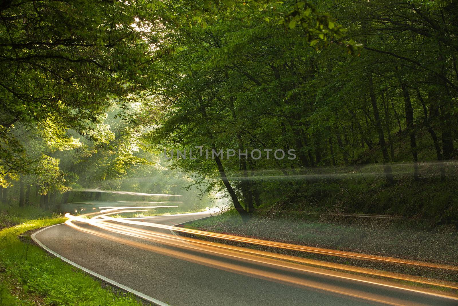 Long exposure on the road in forest in the morning