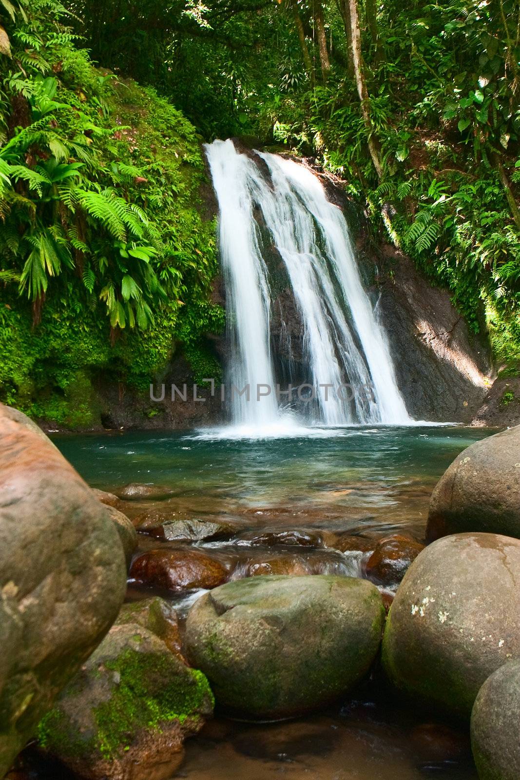 Waterfall on the Guadeloupe island