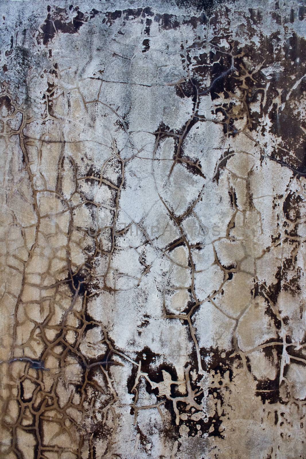 The design of the wall facing the water