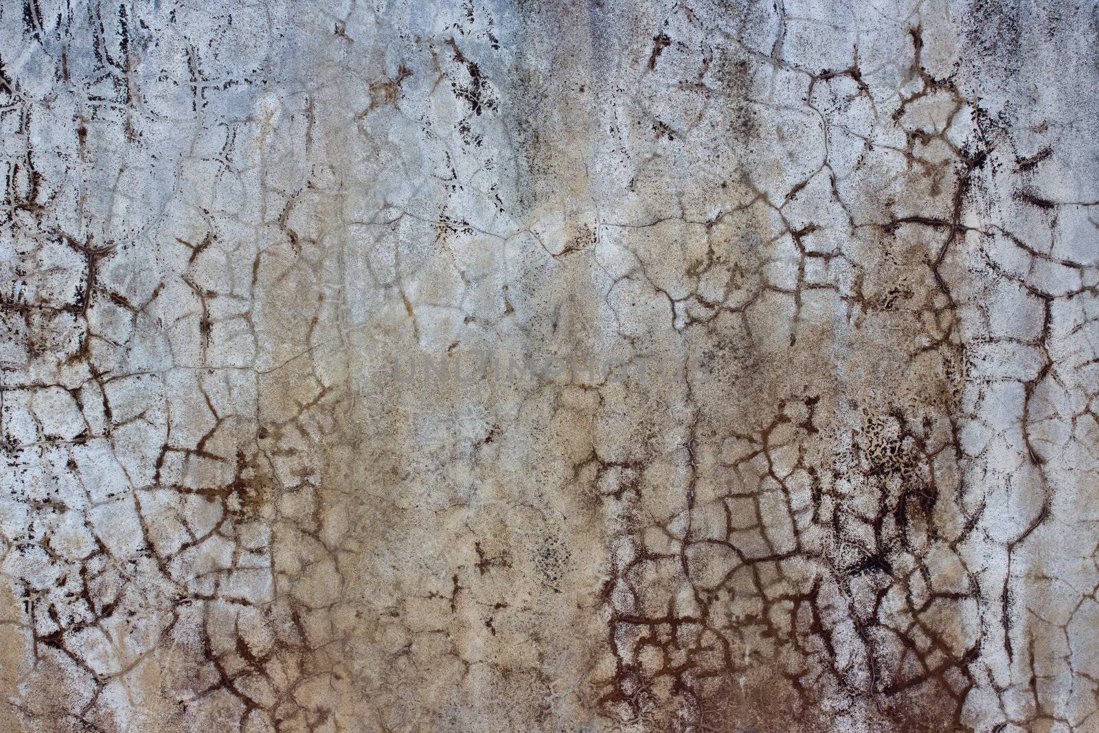 The design of the wall facing the water