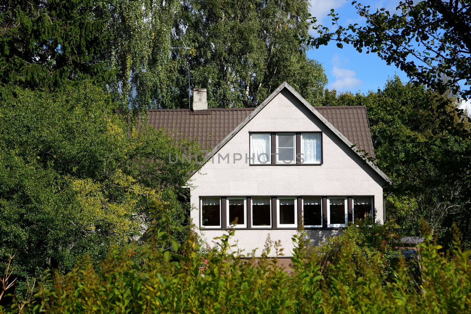 The modern house on a background of green trees