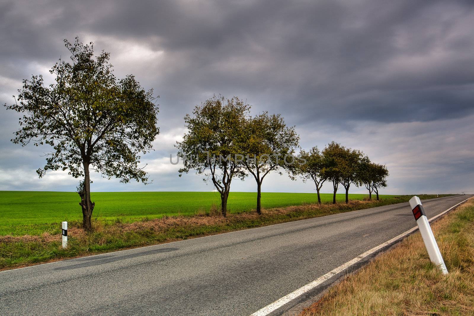 Long asphalt road and autumn trees on sky background