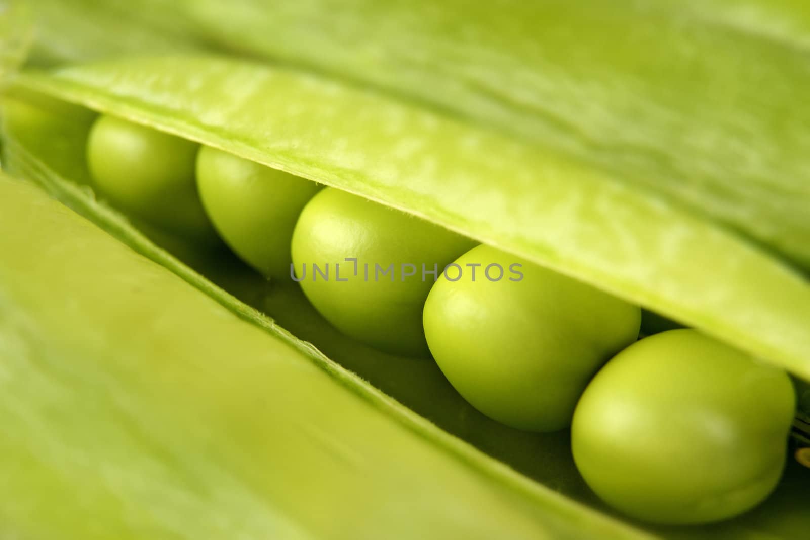 Background of fresh green peas in the pod 