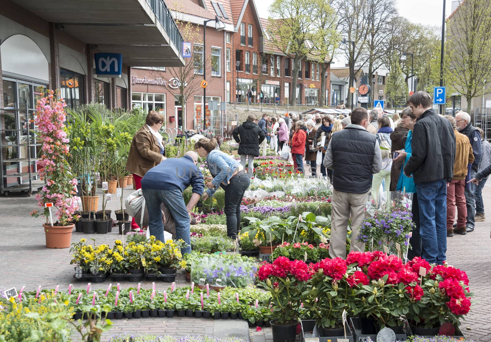 MELISSANT,HOLLAND - APRIL 30: People shopping on the market in melissant on April 30, 2013 in melissant,Holland. This market is during queensday once a year.