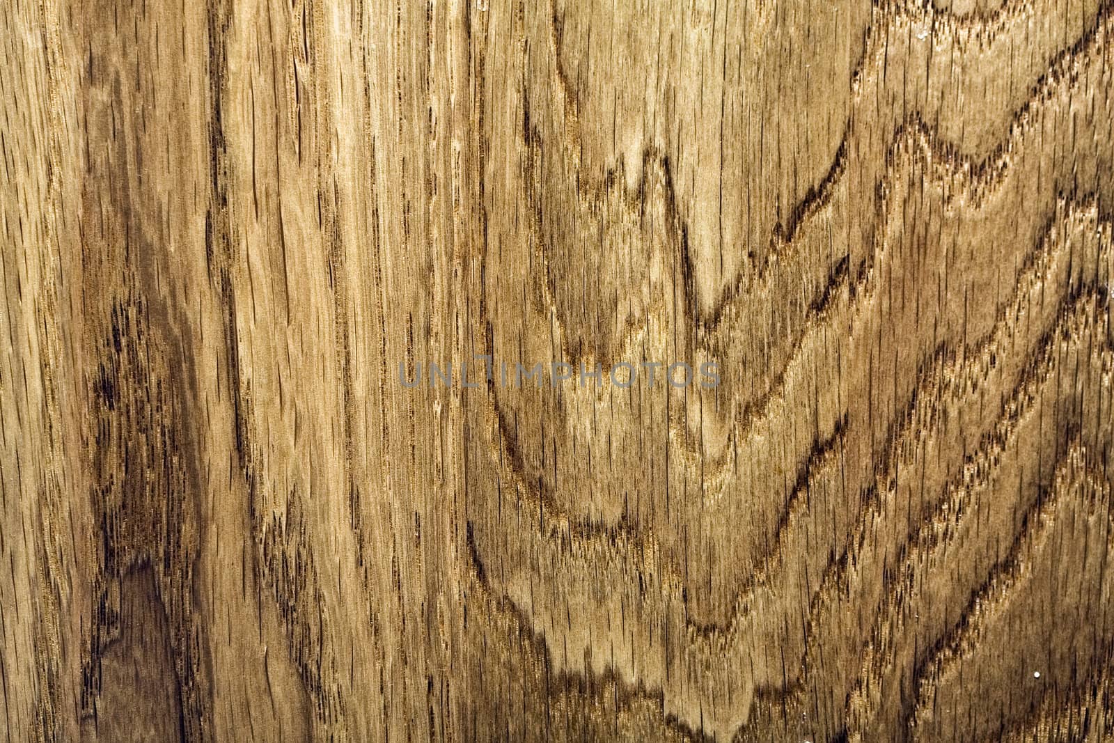 Wood texture close up