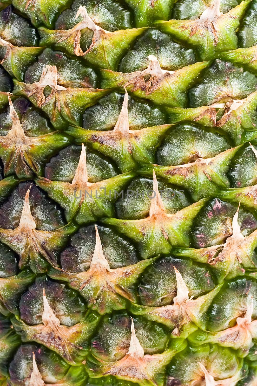 Pineapple skine texture